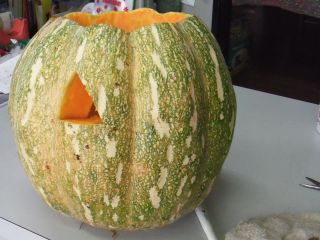 kabocha.jpg